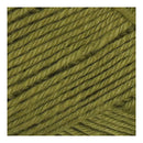 Patons Cotton Blend 8ply 50g - Meadow