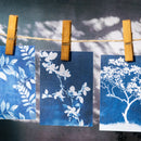 Poppy Craft Scrap Paper Set - Inflorescence