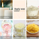 A 3x2 collage showing six types of wax products: paraffin in a lit candle, soy wax chunks in a bowl, jelly wax in a glass candle, palm wax in a small jar, and beeswax in a bowl. Text labels identify each type.