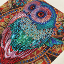 A close-up of a colorful owl artwork made from many small rhinestones and beads, with red, teal, pink, blue, gold, and brown details filling most of the frame.
