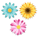 Three colorful flowers (blue, yellow, pink) on a white background