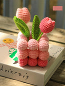 Poppy Crafts Learn to Crochet Kit