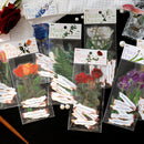 Plants Poetry cards with floral designs and poems on a textured surface.