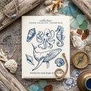 Poppy Crafts Stamps