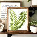 A square framed botanical art print featuring green fern leaves on a white background, styled on a wooden shelf next to a potted plant and other framed decor.