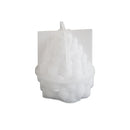 A translucent white silicone mold with a detailed grapevine design, featuring a rectangular backing plate and a textured, rounded grape cluster shape with a small stem, shown on a plain white background.