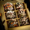 Poppy Crafts Floral Cut-Out Sticker - The Kingdom of Flowers