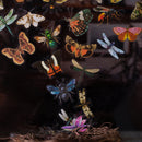 Poppy Crafts Insect Specimens PET Stickers - Butterfly Moth