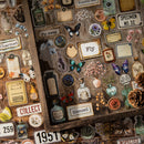 Poppy Crafts Old Dream Wandering PET Stickers - A Collection of Flower Arrangements