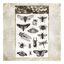 Poppy Crafts Stamps