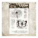 Poppy Crafts Stamps