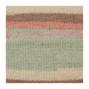 Premier Basix Trendy Yarn - Desert Sands