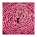 Premier Everyday Worsted Gradient Glitter Yarn - Sangria Tones