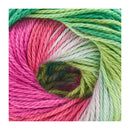 Premier Yarns Hipster Cotton Yarn 100g - Popular