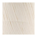 Premier Raffia Yarn - Cream*