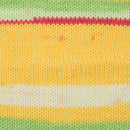 Premier Basix Trendy Yarn - Watermelon