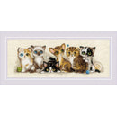 RIOLIS Counted Cross Stitch Kit 15.75"X6" Kittens (14 Count)*