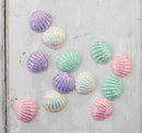 Sara Signature Enchanted Ocean Embellishments Shells*