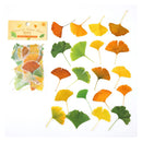 Poppy Crafts Leaves of Nature Sticker Pack - Ginkgo Leaves