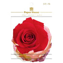 Paper House Self-Adhesive Die-Cuts Birthday