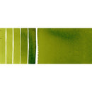 Daniel Smith Extra Fine Watercolour Paint 15ml - Sap Green