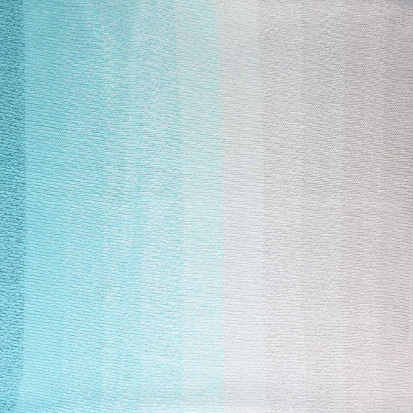 Scheepjes Cotton Whirl Yarn - Blueberry Frost