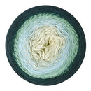 Scheepjes Cotton Whirl Yarn - Blueberry Swirl