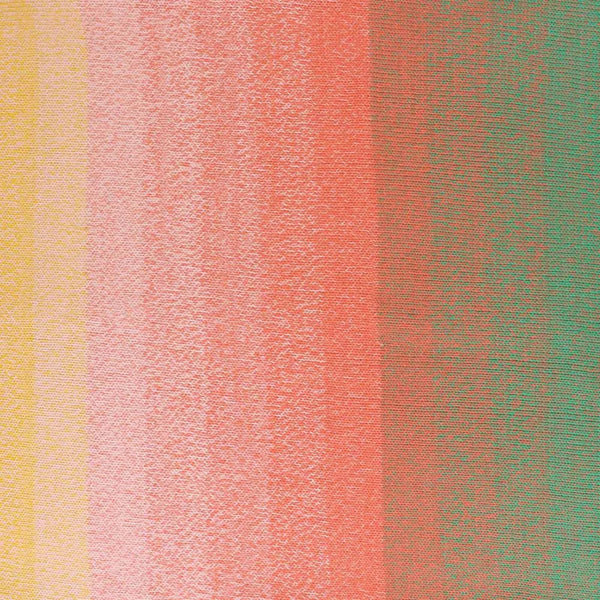 Scheepjes Cotton Whirl Yarn - Dreamland