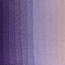 Scheepjes Cotton Whirl Yarn - Forest Fruit Juice