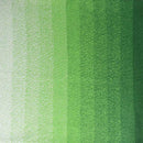 Scheepjes Cotton Whirl Yarn - Lettuce Party