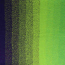 Scheepjes Cotton Whirl Yarn - Pistachio Palette
