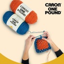 Caron One Pound Yarn – Off White