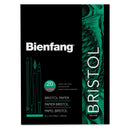 Speedball Bienfang Bristol Vellum Paper Pad 9"x 12" 20 Sheets