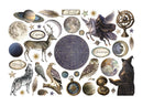 A collage of whimsical celestial and nature illustrations on a white background, including planets, moons, stars, an owl, a wolf, a horse, a wizard, compasses, feathers, and handwritten labels such as 'Cosmos' and 'Universe'.