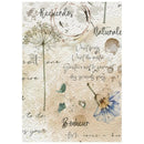 A square decorative card or print with a vintage French design, featuring watercolor illustrations of dandelions, a blue flower, and elegant script text on a textured beige background.