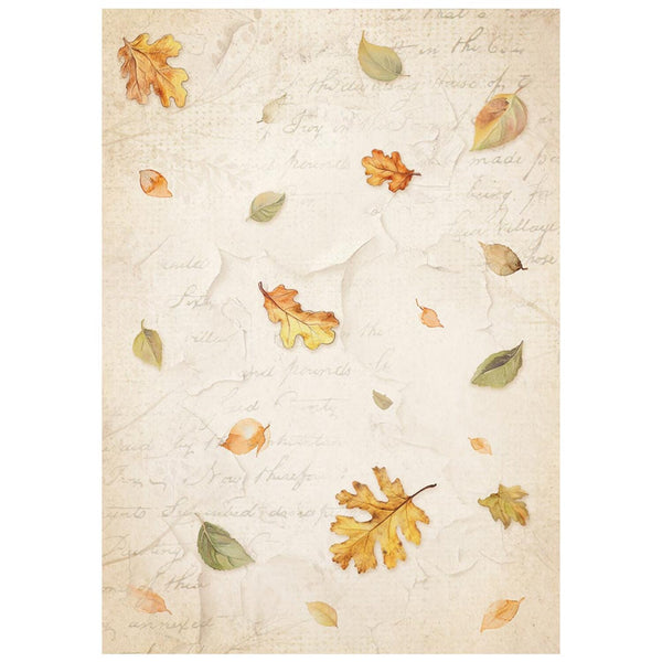 Stamperia Rice Paper Sheet A6 Selection Set of 8 - Whispering Woods - Backgrounds