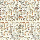 Tim Holtz - Advantus Idea-ology Double-Sided Cardstock 8"X8" 12/Pkg