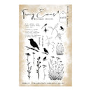 A clear stamp sheet featuring black botanical and bird illustrations on a beige background, with the brand name Tracy Evans Boutique Designs printed at the top.