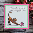 Creative Expressions Designer Boutique Clear Stamp 6"x 8" - Feline Good!*