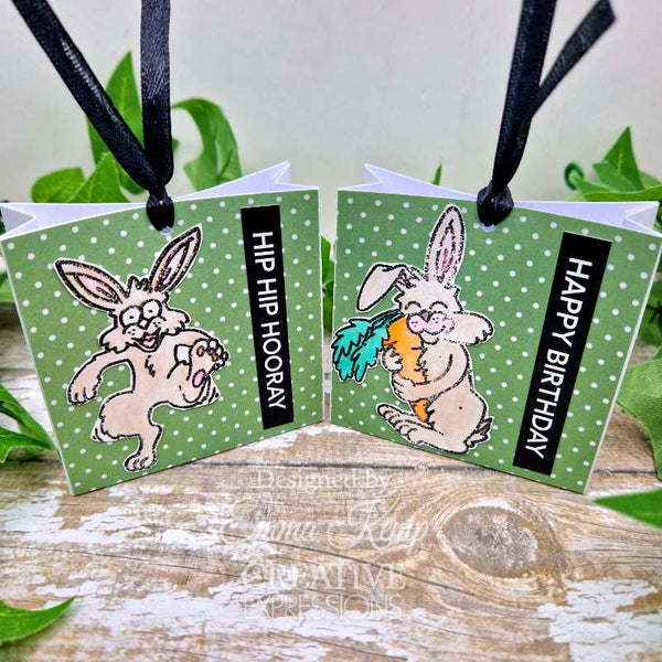 Creative Expressions Designer Boutique Clear Stamp 6"x 8" - No Bunny Like You*