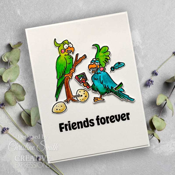 Creative Expressions Designer Boutique Clear Stamp 6"x 8" - A Wheelie Good Day*