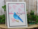 Gina K Designs Die Set - Vintage Summer*