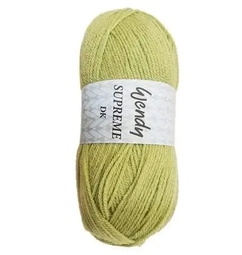 Wendy Wools Supreme DK Acrylic Yarn 100g - Pistachio*