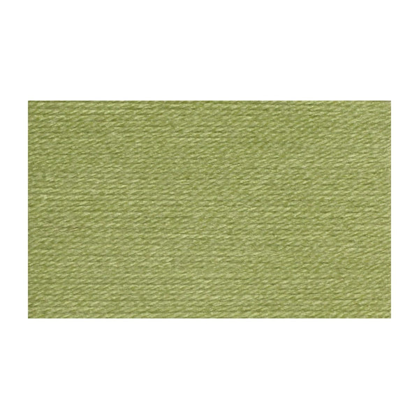 Wendy Wools Supreme DK Acrylic Yarn 100g - Pistachio*