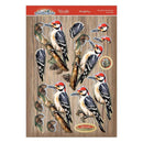 Hunkydory Beautiful Birds Deco-Large Set - Wonderful Woodpecker