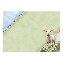 Hunkydory Spring is Here Deco-Large Set - A Baa-rilliant Birthday