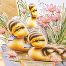 Hunkydory Spring is Here Deco-Large Set - A Quacking Day