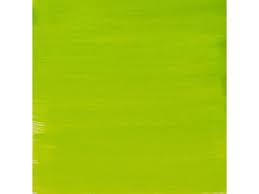 Amsterdam Acrylic Ink 30ml - Yellowish Green - 617