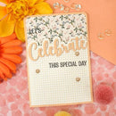 Hunkydory Moonstone Combos - Essential Greetings - Celebrate*