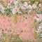 Nature's Garden Vintage Rose Vellum Pad 8"X8"